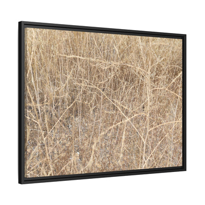 Golden Stalks - Unique Stretched Canvas Wall Art