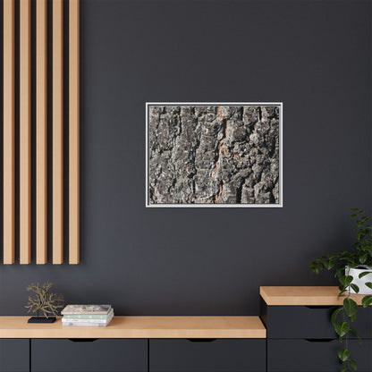 Aged Beauty - Unique Stretched Canvas Wall Art