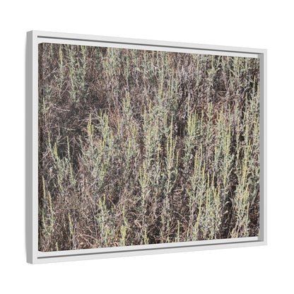 Sage Fields Forever - Unique Stretched Canvas Wall Art - Art By Earth