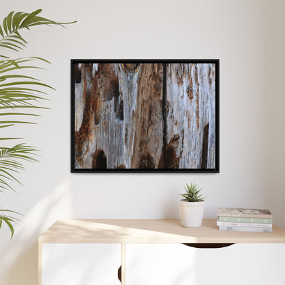 Decaying Splendor - Unique Stretched Canvas Wall Art