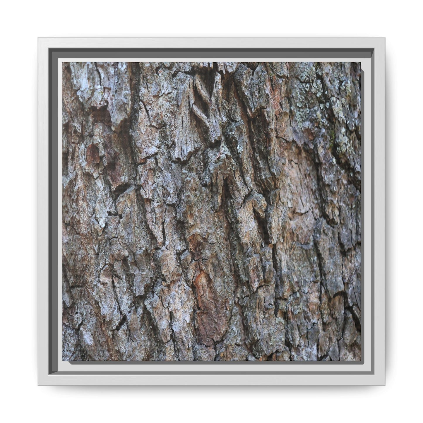 Woodland Skin - Unique Stretched Canvas Wall Art