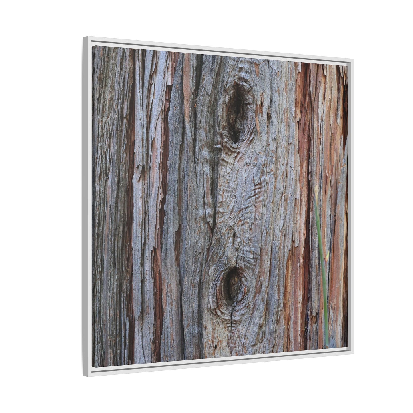 Knotty Nature - Unique Stretched Canvas Wall Art