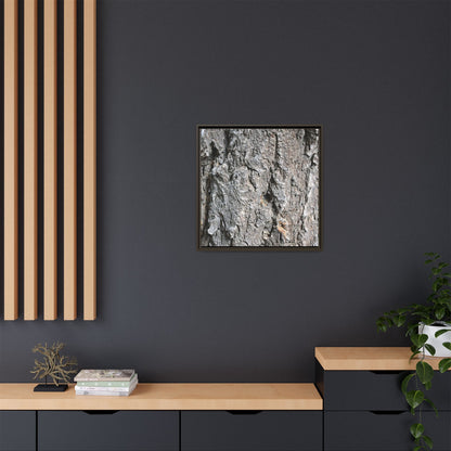 Crusty Exterior - Unique Stretched Canvas Wall Art