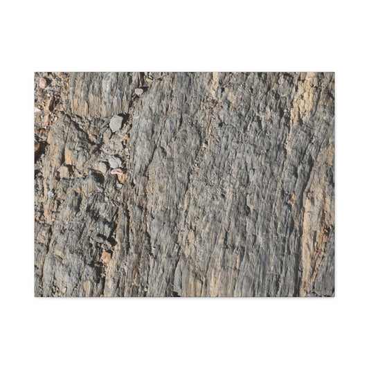 Bark Echoes - Unique Frameless Canvas Wall Art