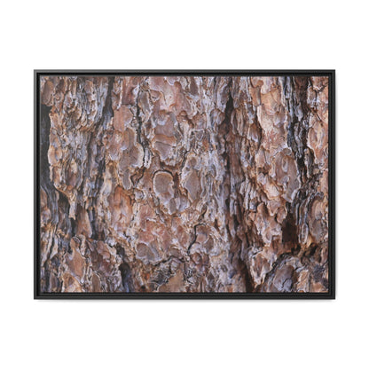 Woody Layers - Unique Stretched Canvas Wall Art