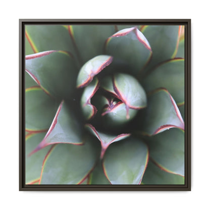 Spiky Elegance - Unique Stretched Canvas Wall Art