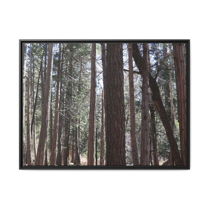 Forest Cathedral - Unique Stretched Canvas Wall Art