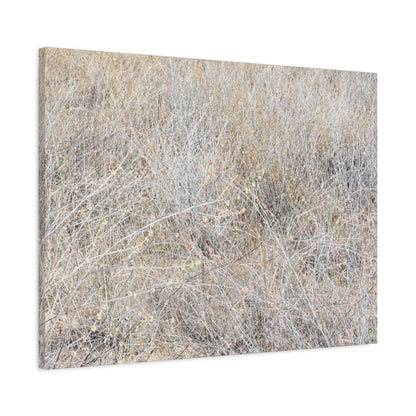 Tangled Whispers of Autumn's Fading Breath - Unique Frameless Canvas Wall Art - Art By Earth