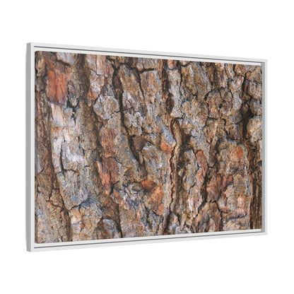 Tree's Timeworn Tale - Unique Stretched Canvas Wall Art