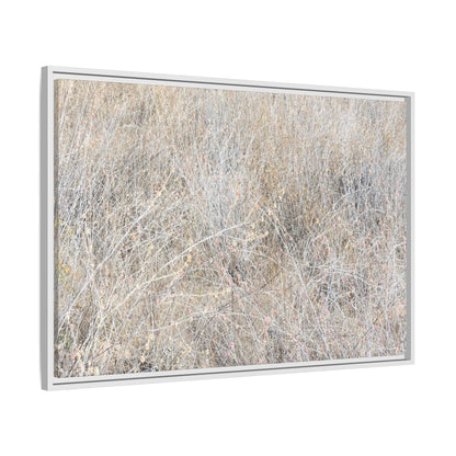 Whispers of Dry Grass - Unique Stretched Canvas Wall Art - Art By Earth
