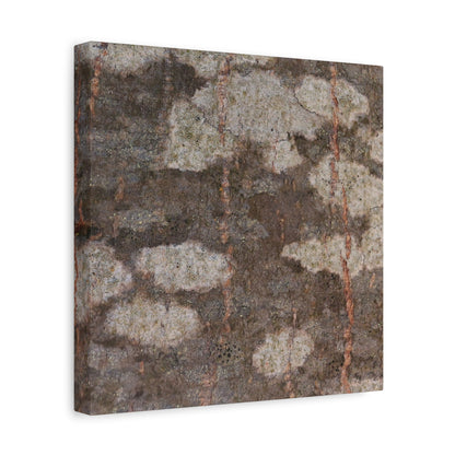 Earthen Memoir - Unique Frameless Canvas Wall Art