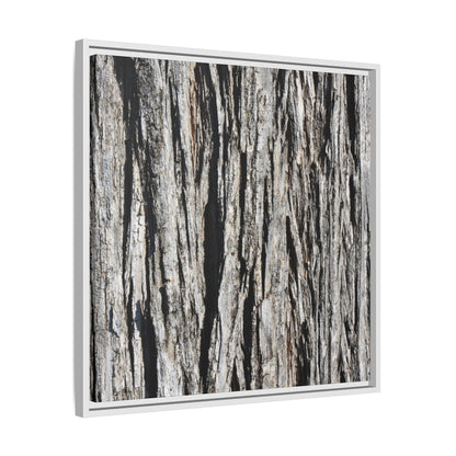 Bark Lines - Unique Stretched Canvas Wall Art