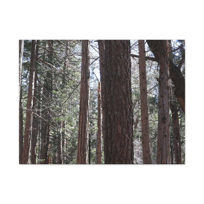 Vertical Sentinels - Unique Frameless Canvas Wall Art
