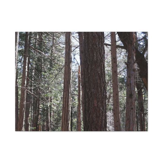 Vertical Sentinels - Unique Frameless Canvas Wall Art