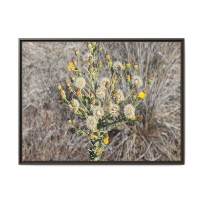 Whispers of the Dry Grass - Unique Stretched Canvas Wall Art - Art By Earth