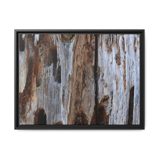 Decaying Splendor - Unique Poster Wall Art