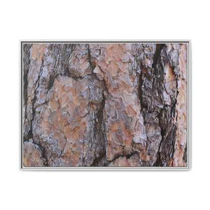 Tree Skin Symphony - Unique Stretched Canvas Wall Art