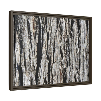 Nature's Abstract - Unique Stretched Canvas Wall Art