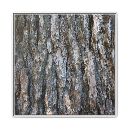 Bark Whispers - Unique Stretched Canvas Wall Art