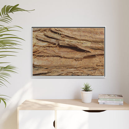 Splintered Bark - Unique Stretched Canvas Wall Art