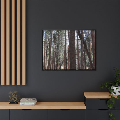 Forest Cathedral - Unique Stretched Canvas Wall Art
