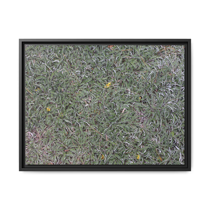 Grassy Texture - Unique Stretched Canvas Wall Art