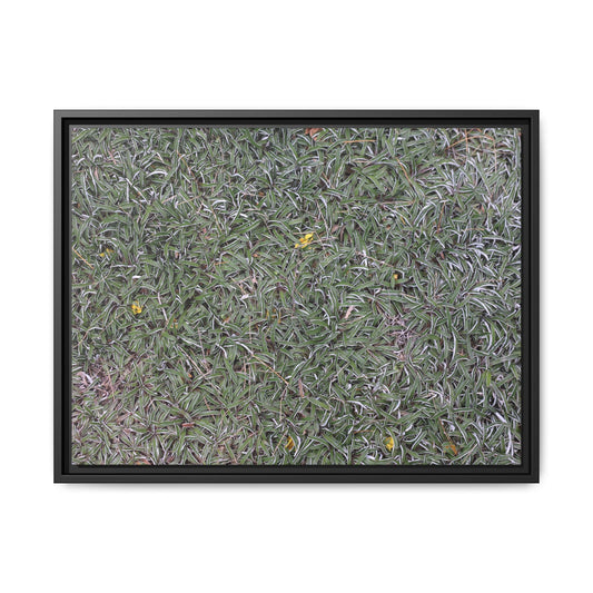 Grassy Texture - Unique Stretched Canvas Wall Art