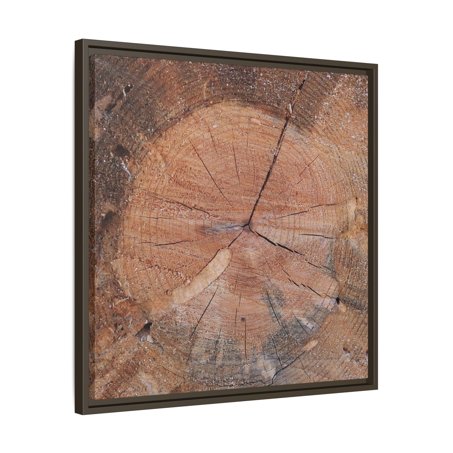 Concentric Memories - Unique Stretched Canvas Wall Art