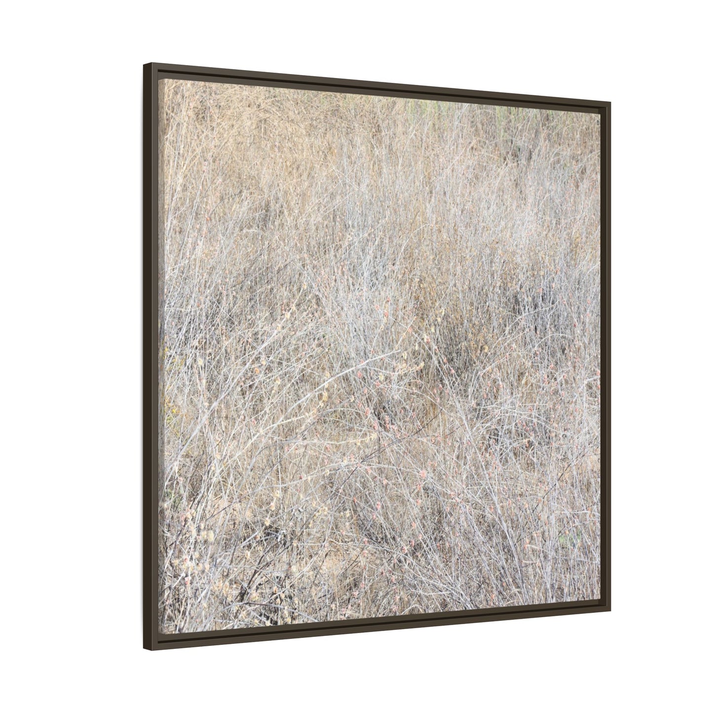 Whispers of Dry Grass - Unique Stretched Canvas Wall Art - Art By Earth
