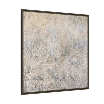 Whispers of Dry Grass - Unique Stretched Canvas Wall Art - Art By Earth