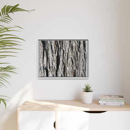 Bark Lines - Unique Stretched Canvas Wall Art