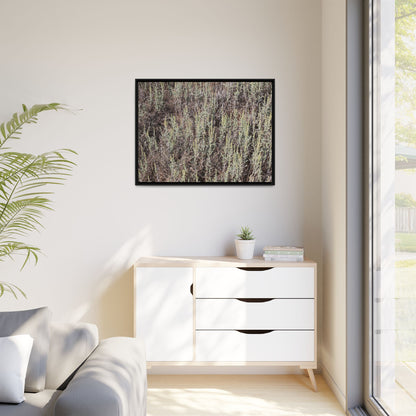 Sage Fields Forever - Unique Stretched Canvas Wall Art - Art By Earth