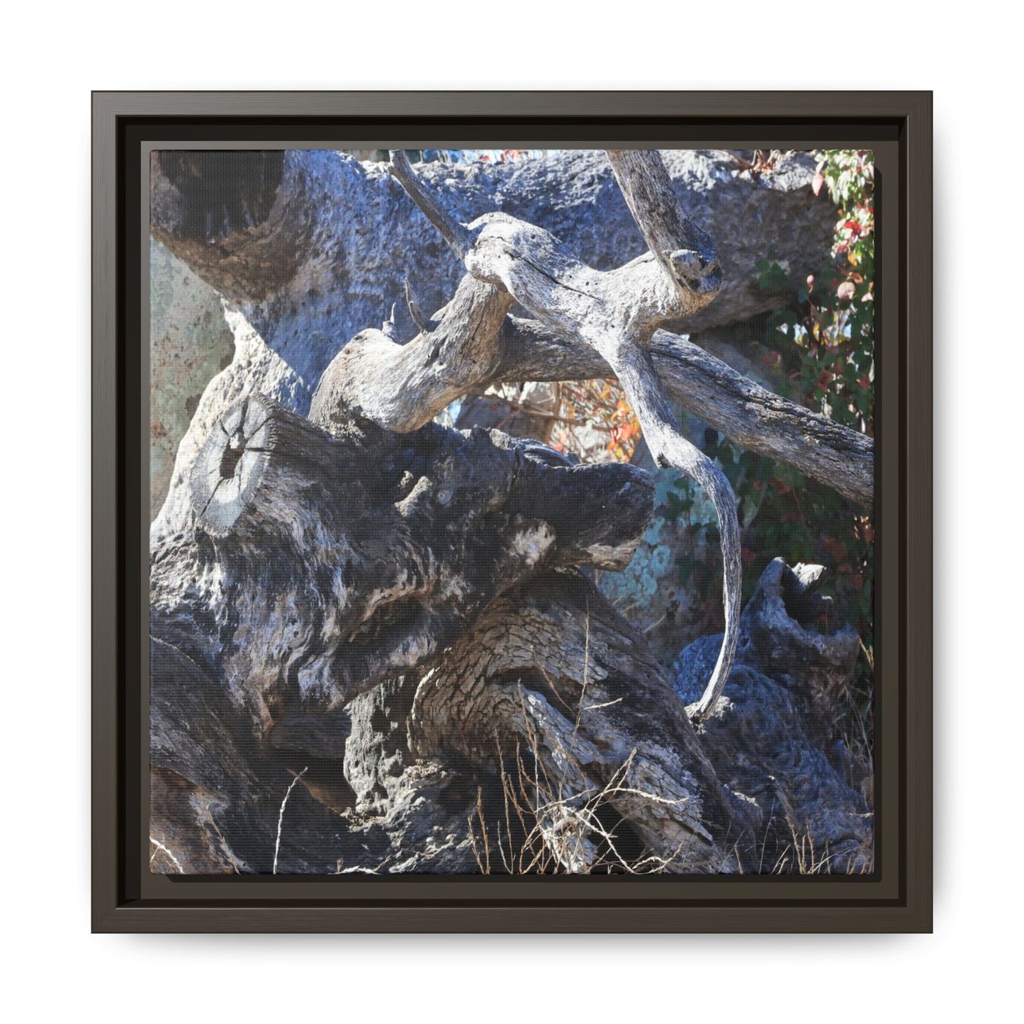 Resilient Roots - Unique Stretched Canvas Wall Art - Art By Earth