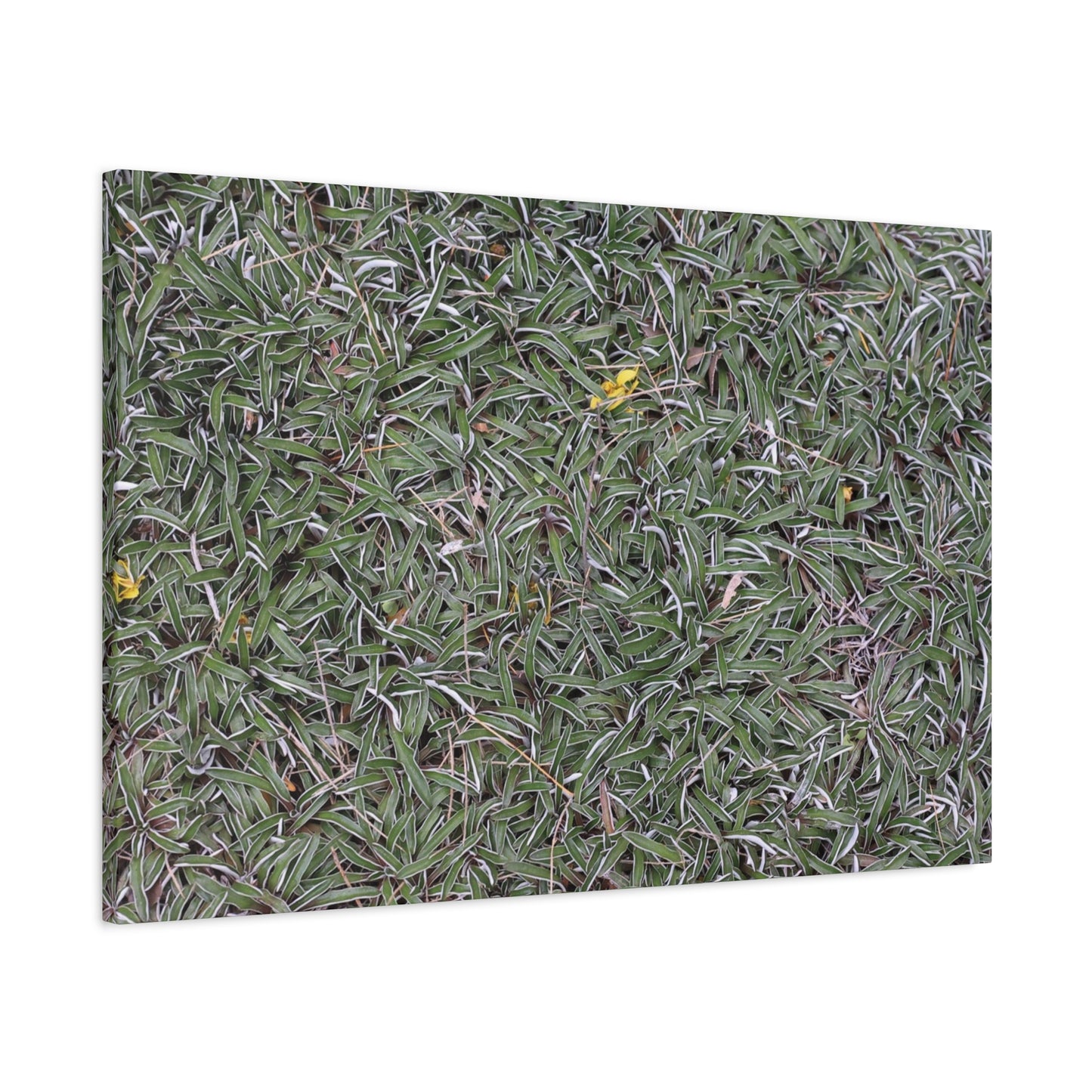 Tangled Memories - Unique Frameless Canvas Wall Art