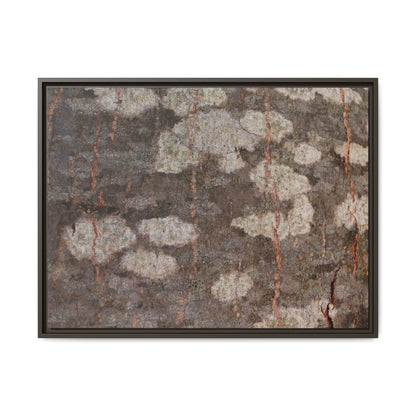 Lichen's Legacy - Unique Stretched Canvas Wall Art