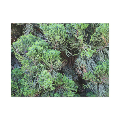 Green Labyrinth - Unique Frameless Canvas Wall Art
