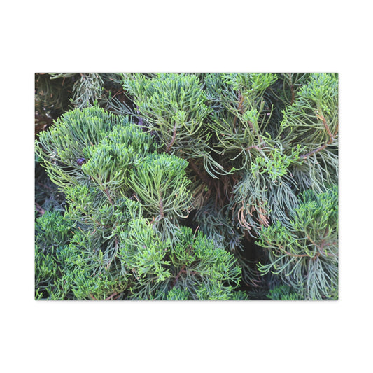 Green Labyrinth - Unique Frameless Canvas Wall Art
