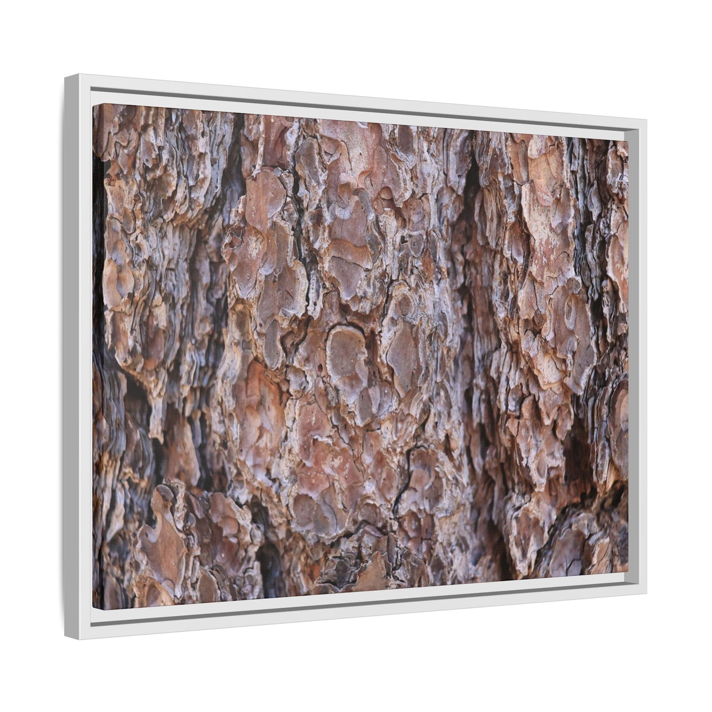 Woody Layers - Unique Stretched Canvas Wall Art