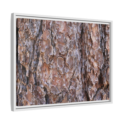 Woody Layers - Unique Stretched Canvas Wall Art
