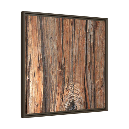 Echoes of Timber - Unique Stretched Canvas Wall Art