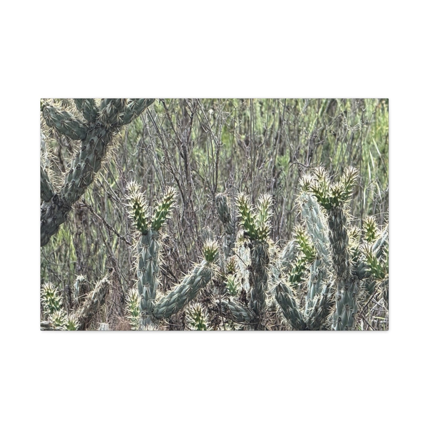 Spiny Sentinels - Unique Frameless Canvas Wall Art
