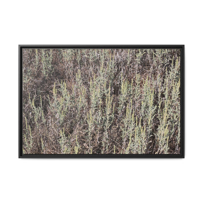 Sage Fields Forever - Unique Stretched Canvas Wall Art - Art By Earth