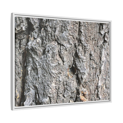 Crusty Exterior - Unique Stretched Canvas Wall Art