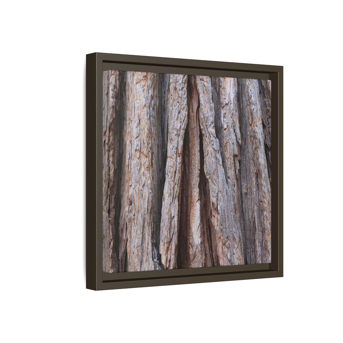 Nature's Sculpture - Unique Stretched Canvas Wall Art