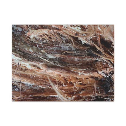 Decaying Whispers - Unique Frameless Canvas Wall Art