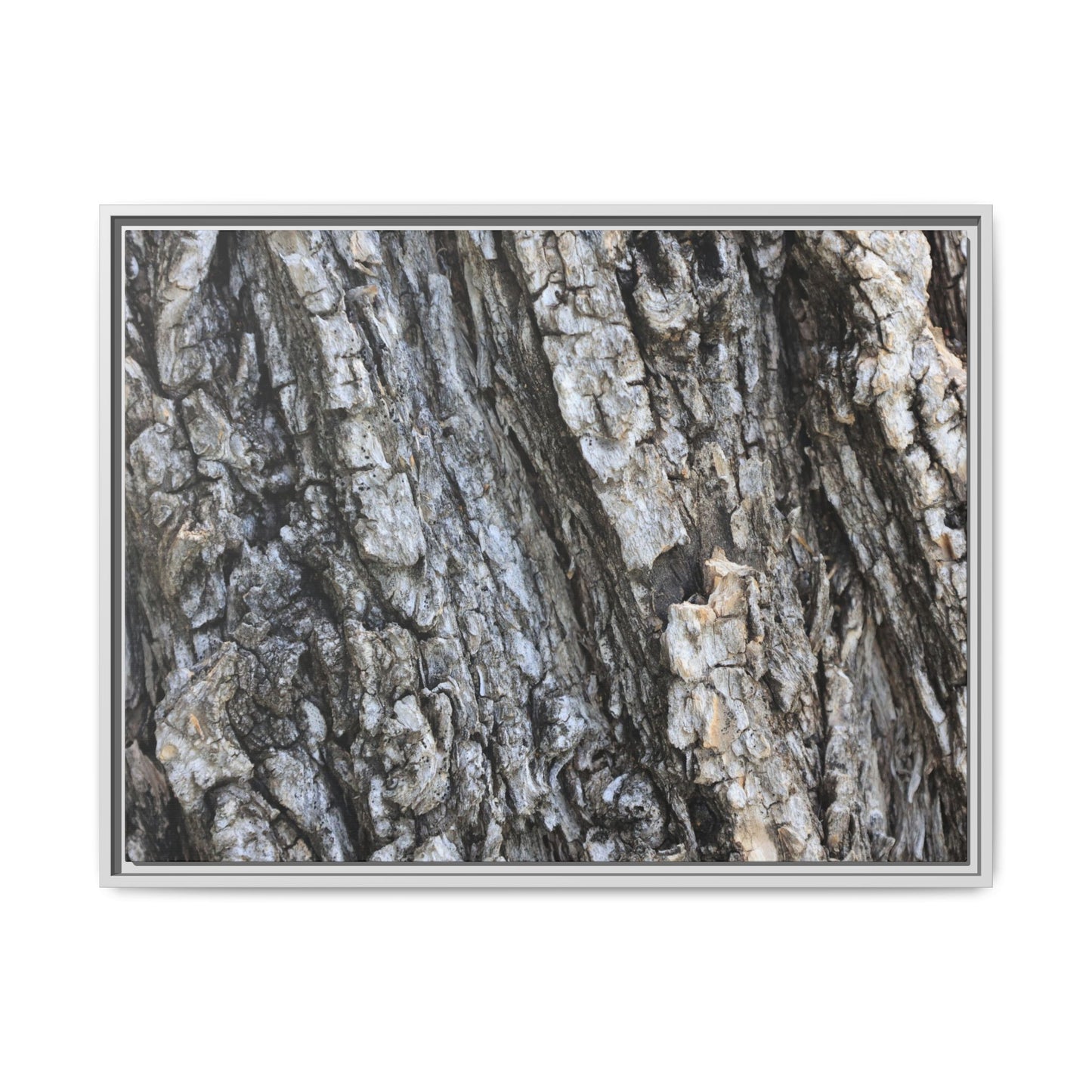 Twisted Textures - Unique Stretched Canvas Wall Art