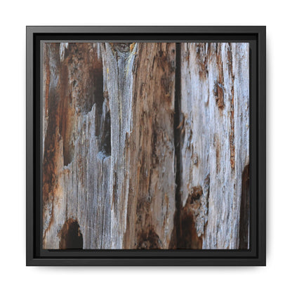 Decaying Splendor - Unique Stretched Canvas Wall Art