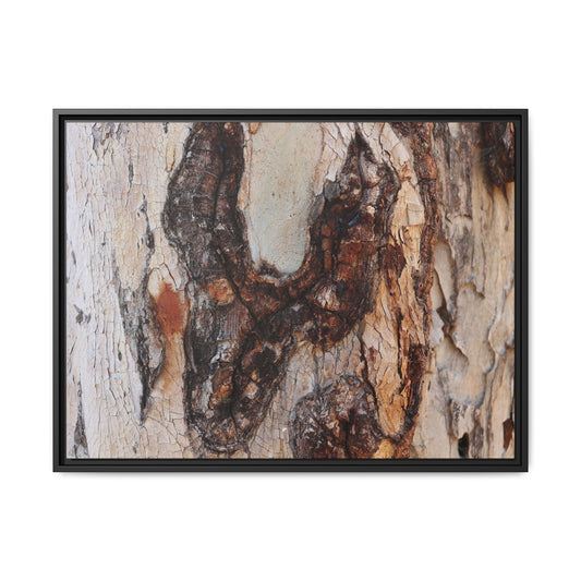 Texture of Time - Unique Stretched Canvas Wall Art