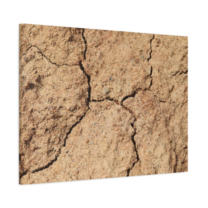 Cracked Earth's Lament - Unique Frameless Canvas Wall Art