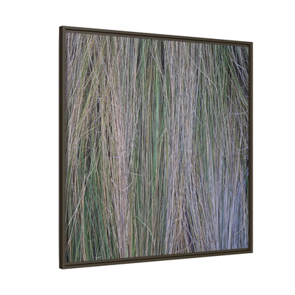 Whispers of Silver Grass - Unique Stretched Canvas Wall Art